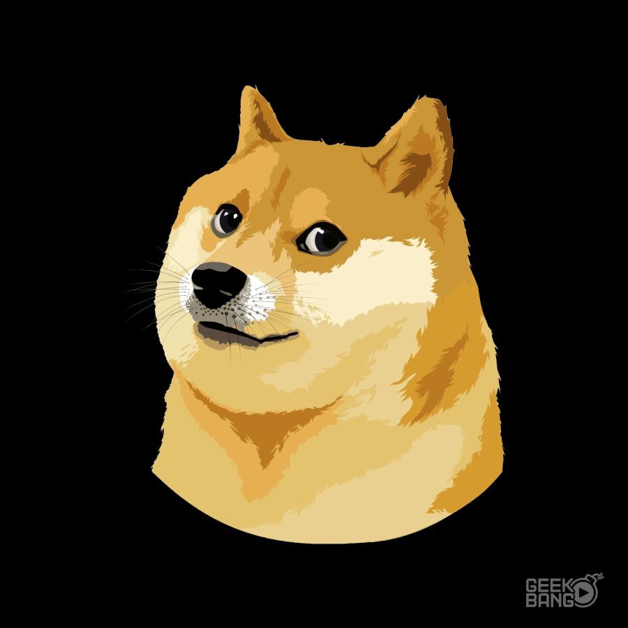 Mikina DOGE